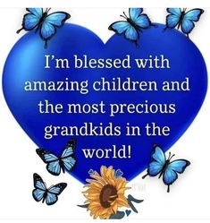 a blue heart with butterflies surrounding it that says i'm blessed with amazing children and the most precious grandkids in the world