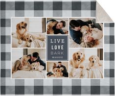 a family photo collage with four dogs and their owners on the bed in front of them