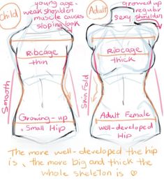 the different types of female mannequins are shown in this drawing, which shows how