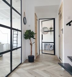 an empty hallway with a potted plant in the corner and mirrors on the wall