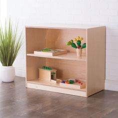 a wooden toy shelf with toys on it and a potted plant in the corner