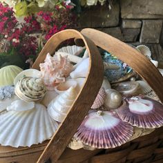 a basket filled with seashells sitting on top of a table