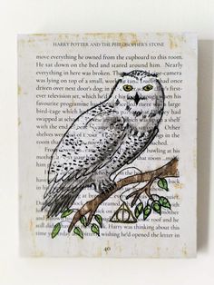 an owl sitting on top of a tree branch in front of a book with the words harry potter and the flying birds stone