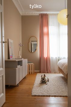 a small dog laying on the floor in a bedroom