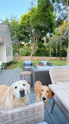 two dogs are sitting in chairs on the deck next to an outdoor table and chair