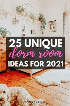 a dog laying on the floor in front of a dresser with text overlay reading 25 unique dorm room ideas for 2021