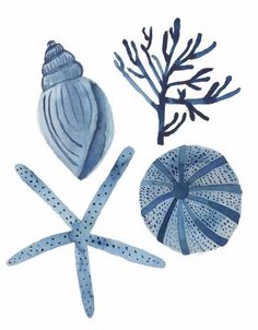 watercolor painting of seashells and starfish on white paper with blue accents