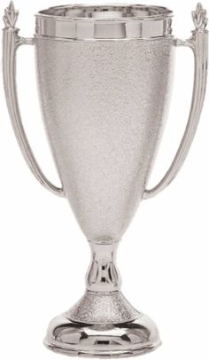 a silver trophy is shown on a white background