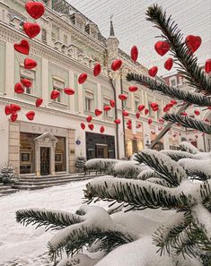 a christmas tree in front of a building with red ornaments hanging from it's branches