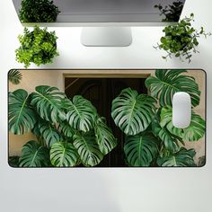 a computer monitor sitting on top of a desk next to a bunch of green plants