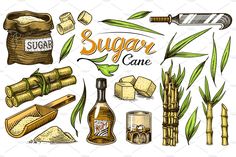 hand drawn illustration of sugar cane and other items