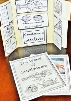 the world of crustacins is displayed in front of an open book on a table