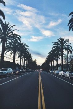 an image of a street with palm trees and the words hey angel do you know the reason? why we look up to the sky