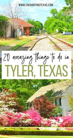 20 Amazing Things to do in Tyler, Texas Festival Garden, Texas Travel Guide, Texas Destinations