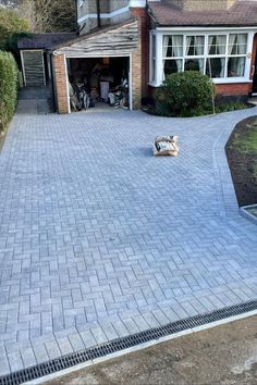 a dog laying on the driveway in front of a house