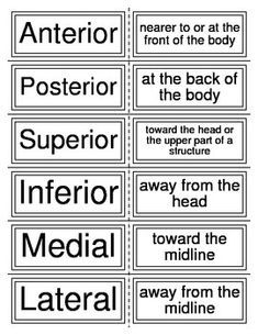 several different types of signs with the words in black and white, including an arrow