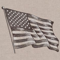 an american flag is shown in black and white on a beige background with the word america written