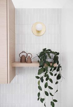 a potted plant sitting on top of a wooden shelf next to a white wall