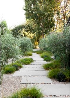 an outdoor walkway surrounded by plants and rocks