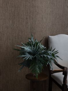 a chair with a plant sitting on it next to a wooden table in front of a wall