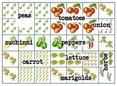 an image of vegetables that are labeled in the word vegetable words, including tomatoes, peppers, broccoli, carrots and peas