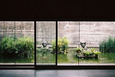 an empty room with large windows and plants in the window sill, looking out onto a pond