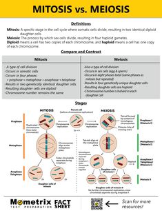 an info sheet describing the differences between mitos and meiosis, with text below