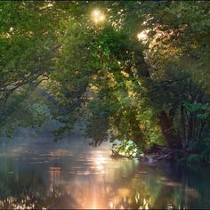 the sun shines brightly through the trees over the water