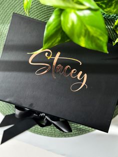 a black box with the word stagey on it sitting next to a potted plant