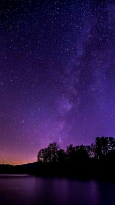 the night sky is filled with stars and purple hues as well as trees are silhouetted in the foreground