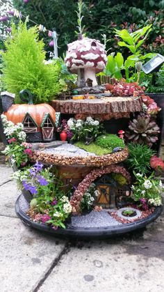 a garden with lots of different plants and decorations on top of it's stand