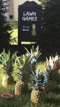 some pineapples are sitting in the grass near a lawn game sign and ring tossers