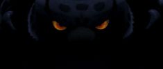 an animal with yellow eyes in the dark