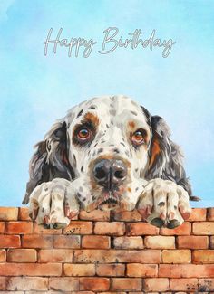 a painting of a dog peeking over a brick wall with the words happy birthday written on it