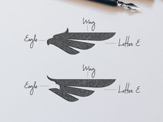 the diagram shows how to draw an eagle's wing and its main parts on paper