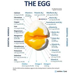 Egg Nutrition Facts, Egg Nutrition, Nutrition Infographic, Egg Benefits, Iron Vitamin, Calcium Vitamins, Essential Minerals, Eating Eggs, Pantothenic Acid