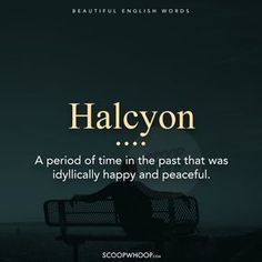 a person sitting on top of a bench with the words halcyon above it