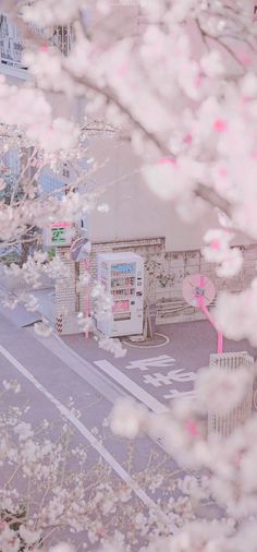 there is a tree with pink flowers in the foreground and an empty street behind it