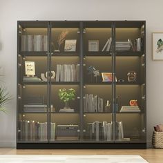 a book case with many books on it in a living room next to a potted plant