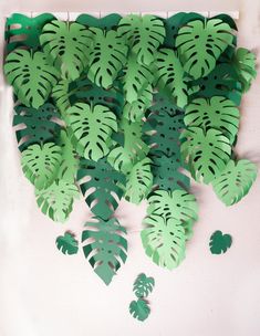 a bunch of cut out leaves hanging on a wall