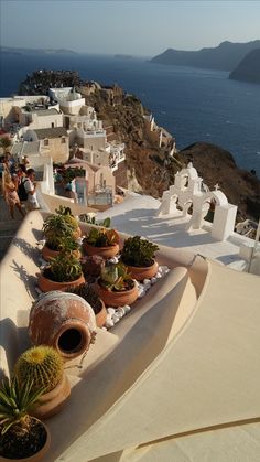 there are many potted plants on the roof