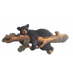 a black bear sitting on top of a tree branch