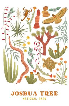 Joshua Tree National Park Flora and Fauna Art Print (8 x 10). Joshua Tree Print, National Parks Illustration, Roadrunner Illustration, Flora And Fauna Art, National Park Illustration, Joshua Trees, Tree Collage, Scent Garden, San Luis Obispo California