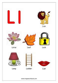 the letter l worksheet with pictures and words to help kids learn how to read