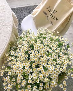 white daisies in a vase on the floor next to a shopping bag and chair