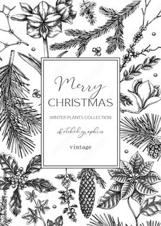 a christmas card with pine cones, holly branches and other evergreen leaves in black and white