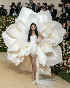 Met Gala Outfits, Met Gala Dresses, Gala Outfit, Runway Dresses, Fairytale Dress, Mode Design, Gala Dresses