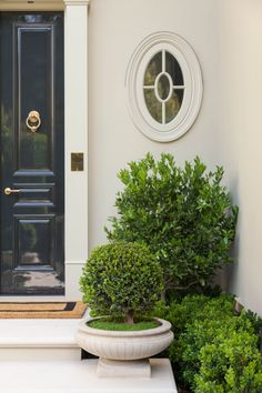 a black front door with a potted plant in the foreground