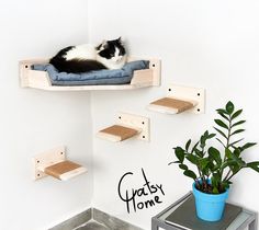 a black and white cat laying on top of a wooden shelf next to a potted plant