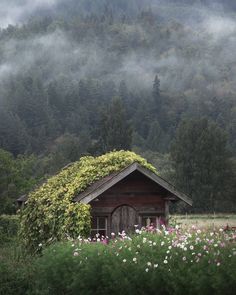 an old cabin in the middle of a field with flowers growing on it's roof